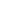 Twitter icon